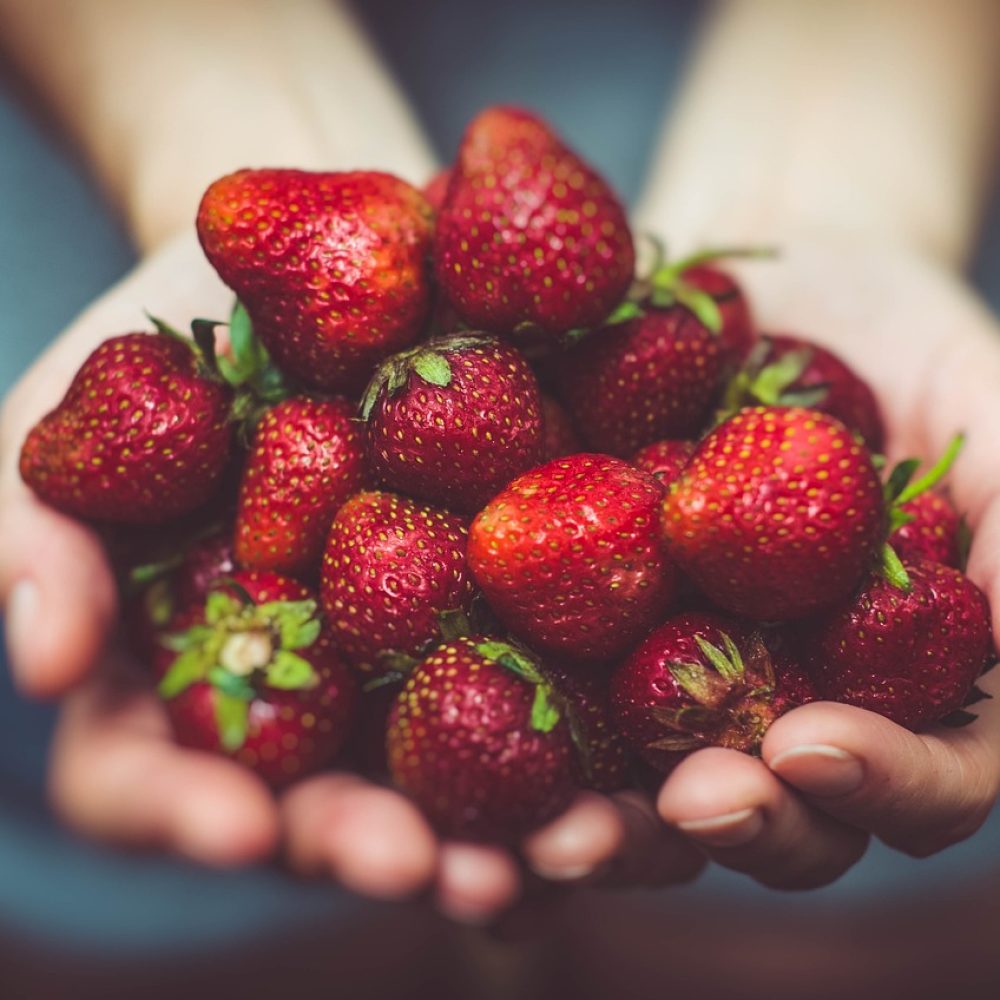 strawberries-1835934_1280